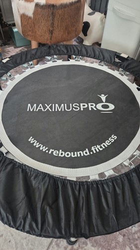 British brand maximus pro - maximus,
